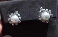 Earrings Damiani Woman Le Perle in White Gold Perla MOM33267 - MOM33267